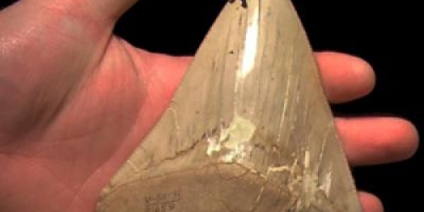 Ancient Climate Change And California's Coast - The Sierra Nevada Mountains