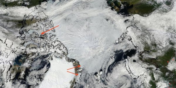 Arctic Ice August 2010 - Update #1