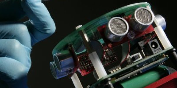 Rise Of The Bio-Brained Robots