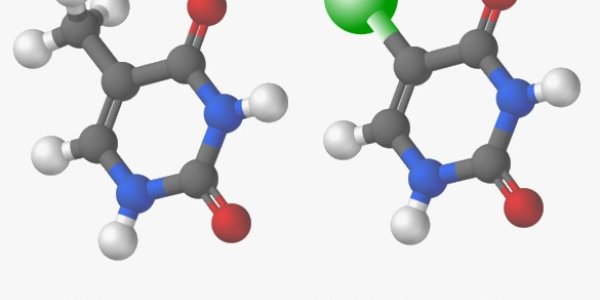 Xenokeime aus Deutschland!
