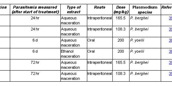 SAYE: Herbal Tea Combats Malaria