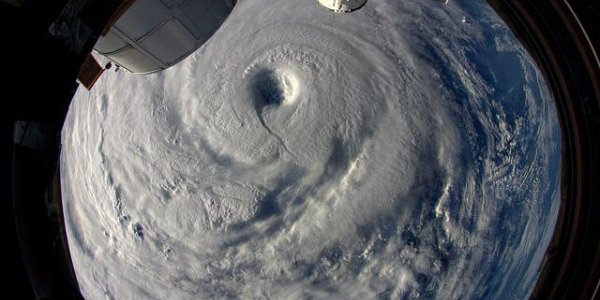 The Eye Of Neoguri