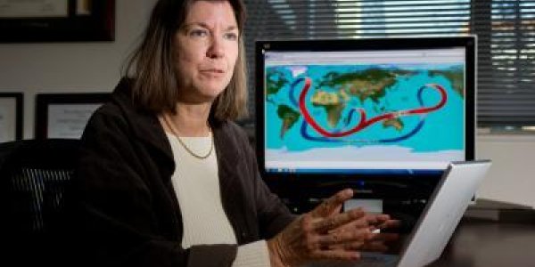 Stadium Wave Propagation Could Explain Lull In Global Warming