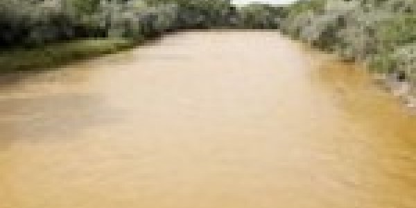 Rogue EPA Wants to Run Our Country