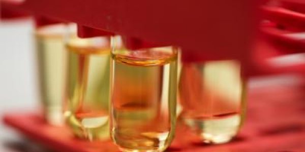 Cinnamon Oil Prevents E. Coli Foodborne Illnesses