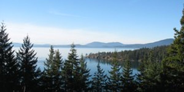 The Fossils of Chuckanut Drive