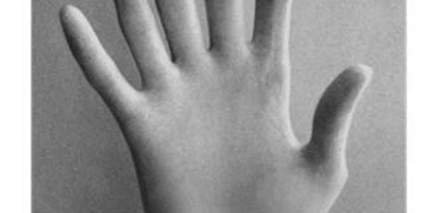 Why Do We Have Ten Fingers?