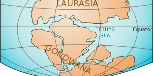 Land based plants get pushed back 10 million years