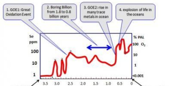 Life Developed 3.6 Billion Years Ago - Then Evolution Got Stuck In Slime