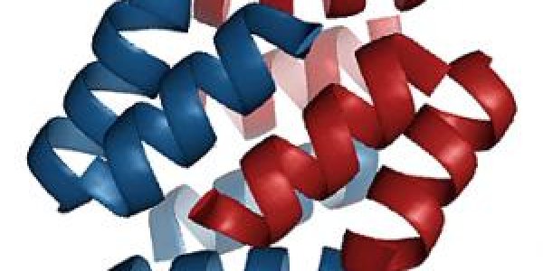 Man-made Proteins Could Be More Useful Than Real Ones