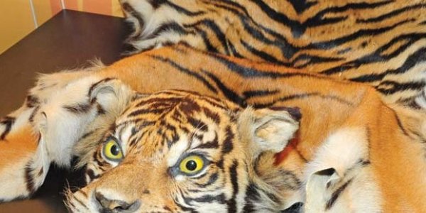 If Acupuncture Weren't A Placebo, It Would Be Real Medicine, So It Can't Help With Infertility