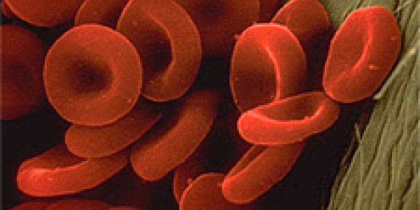 Prairie Road Trips, Vampire Squids and Mr. Spock