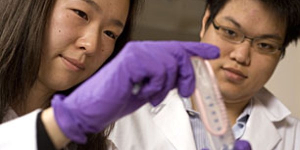 Researchers 'Tighten' Body's  Protective Mucus Coating