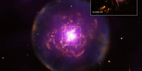 Zombie Star: Sol, This May Be Your Future