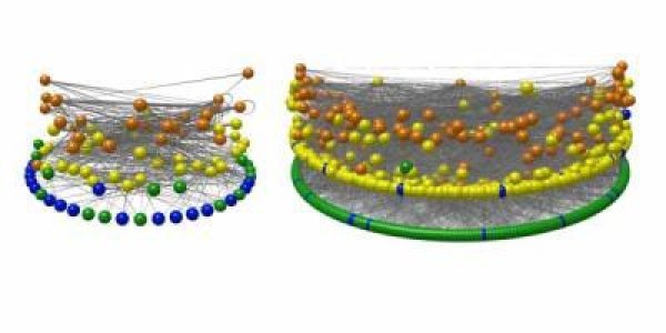 Ancient Food Webs Developed Modern Structure Soon After Mass Extinction