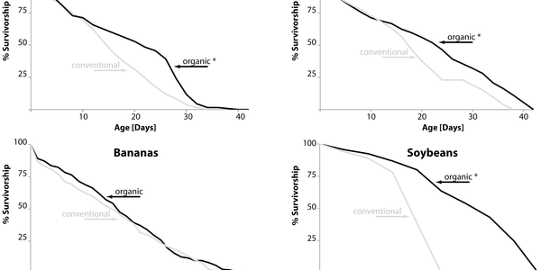 Fruit Flies On Organic Diets Lived Longer, Had Greater Fertility