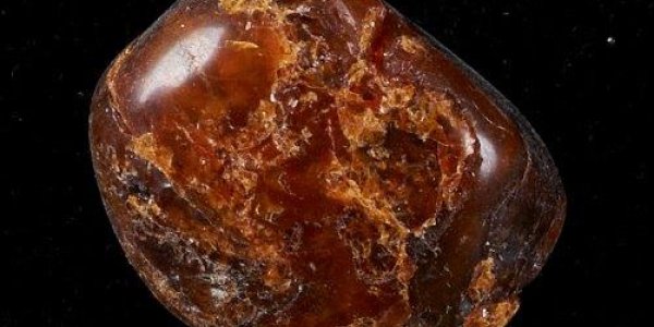 The Spirit Of Ancient Amber Revealed