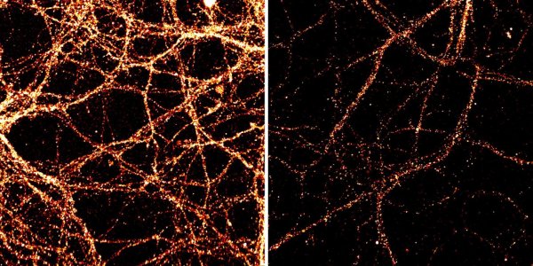Neurons Rewrite Their DNA On The Go