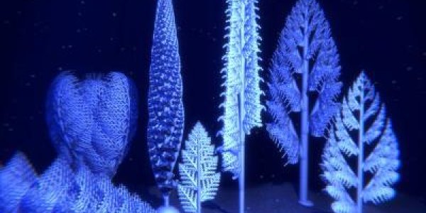 Rangeomorphs: How Some Of The Earliest Animals Lived And Died