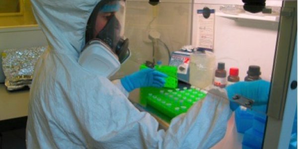 Periodontal Disease Bacteria Found In 1000 Year Old Dental Plaque