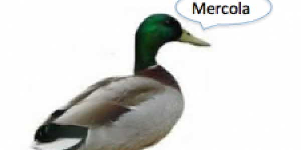 Gawker Schools The New York Times Over Its Scare Journalism