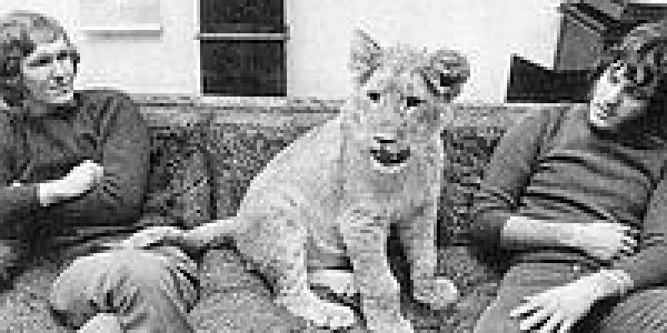 The Embrace of the Lion