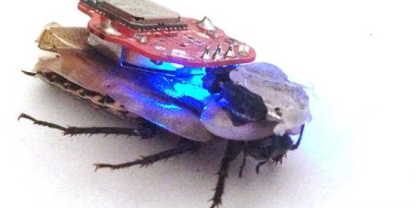 Roboroach: Mobile Phone 'Cockroach Backpack' App Is Controversial