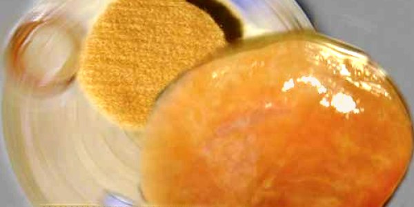 Environmental Impact Of Lab-Grown Meat