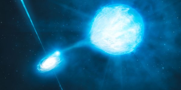 Stellar-Mass Black Hole Discovered In NGC 300