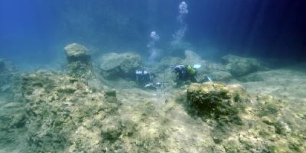 Tropical Fish Devastate Mediterranean Ecosystems