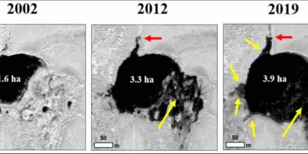 No Human Could Get A Permit To Do What Beavers Are Doing To Alaska