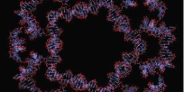 'Programmed' Oligonucleotides Organize Themselves Into Dodecahedra - Yes, It's A DNA Softball