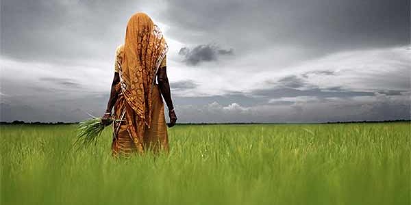 FAO: Governments Creating 'Gene Editing' Regulations Are In Defiance Of Science