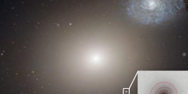 M60-UCD1: Tiny Galaxy, Supermassive Black Hole