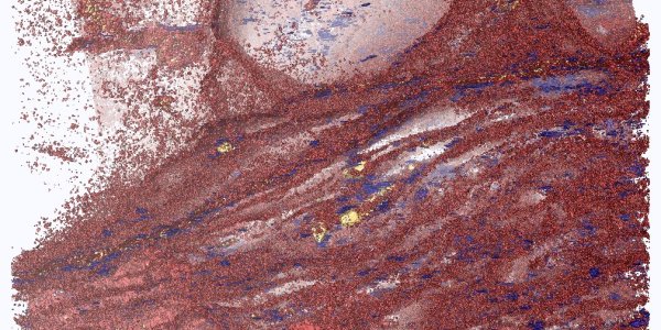 Creep Cavitation - Deep Earth Pump Fuels Earthquakes