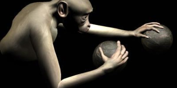 Monkeys Control Virtual Arms Using Just Their Brains