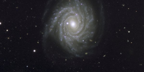 Supernova In NGC 1288