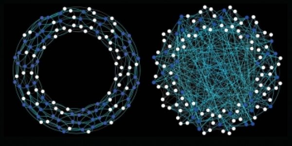 Live Longer Thanks To Science 2.0: Social Networks Influence Health Behaviors