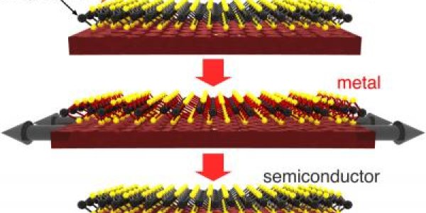 Tiny Switch Could Be Just Three Atoms Thick