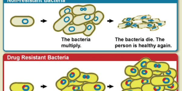 Drug Resistance- How Bugs Adapt!