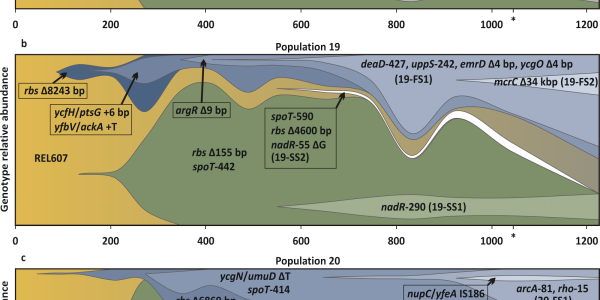Is Evolution Now Predictable?