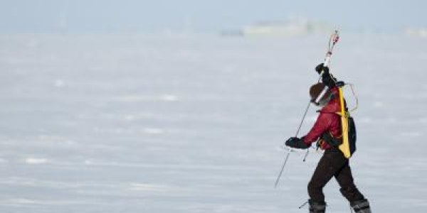 Snow Depth Has Thinned On Arctic Sea Ice