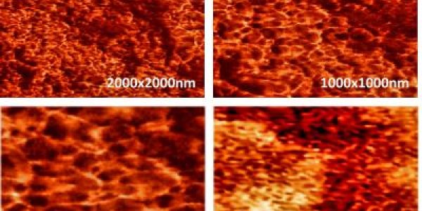 Fractal Patterns May Uncover New Line Of Attack On Cancer
