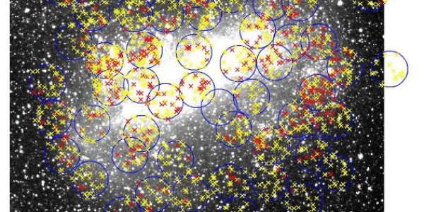 Astronomers: Paparazzi With Brains