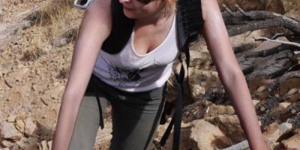 Permian Extinction: Repopulation Was Diversification, Not Climate