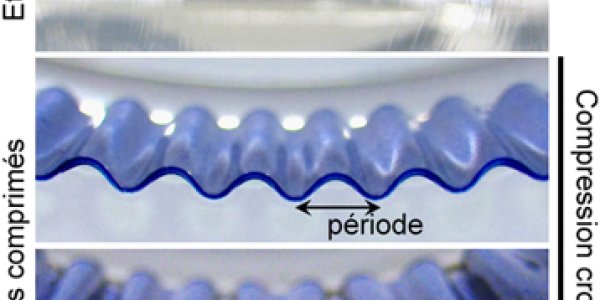 Rigid Membranes And How Folded Structures Form