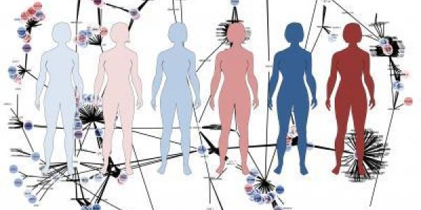 101 Liver Cancer Drug Candidates Pave The Way To Personalized Medicine