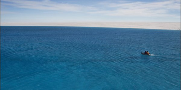 A Critique Of A Multiply-Published Article On Ice Sheet Collapse