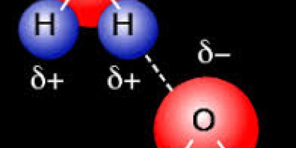 Analogy Watch: Hydrogen Bonding
