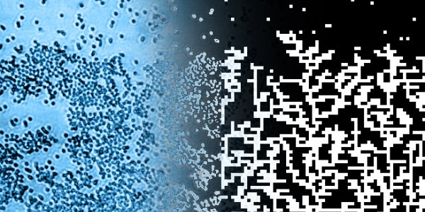 Weekend Science: The Mathematics Of Coffee Rings